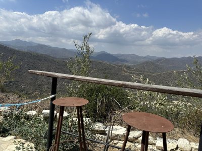 Terra Oliva Organic Olive Farm