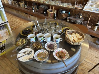 Terra Oliva Organic Olive Farm