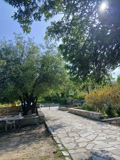 ΑΜΥΓΔΑΛΙΕΣ ΒΑΒΛΑ