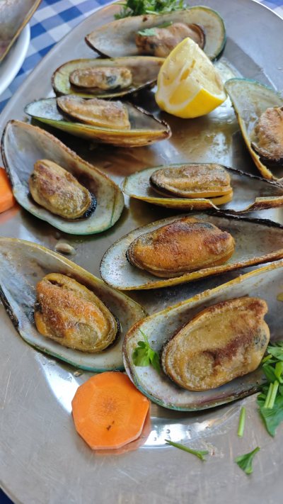 High Chaparral Fish Tavern