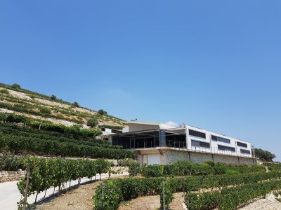 Dafermou Winery / Ktima Dafermou