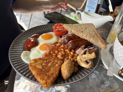 The Forest Breakfast Brunch Lunch