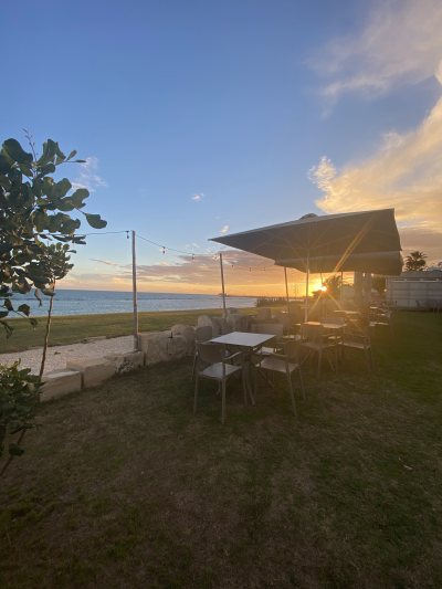Grizo Cafe