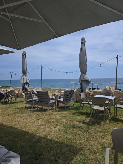Grizo Cafe