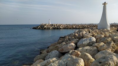 Marinoparea