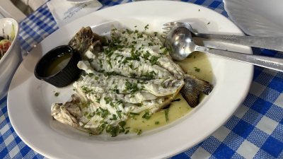 KARAOLISea